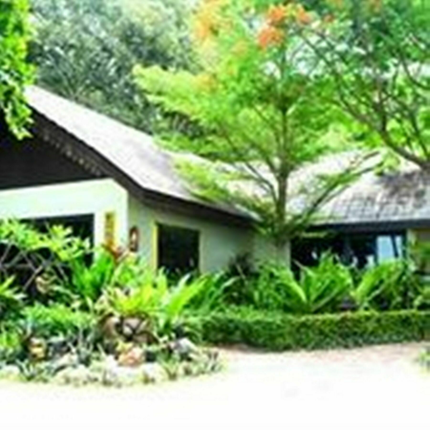 Paradise Pearl Bungalows Phi Phi Eksteriør billede